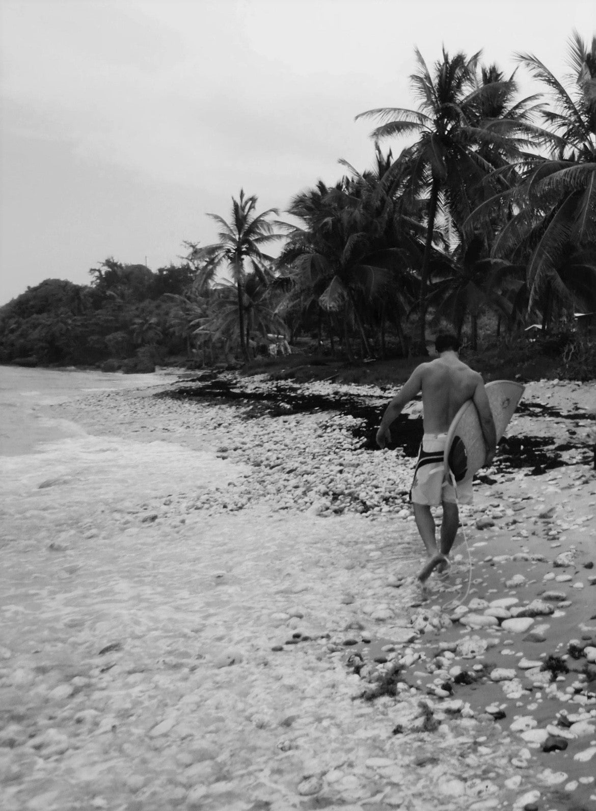 Riding the Waves: A Deep Dive into the World of Surfing
